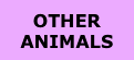 OTHER ANIMALS