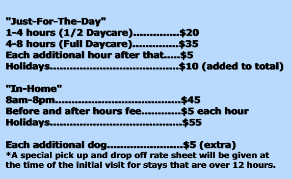"Just for the Day" Daycare